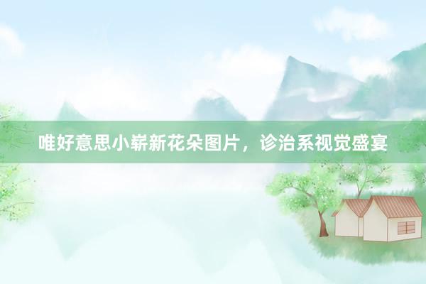 唯好意思小崭新花朵图片，诊治系视觉盛宴