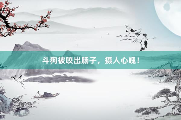 斗狗被咬出肠子，摄人心魄！