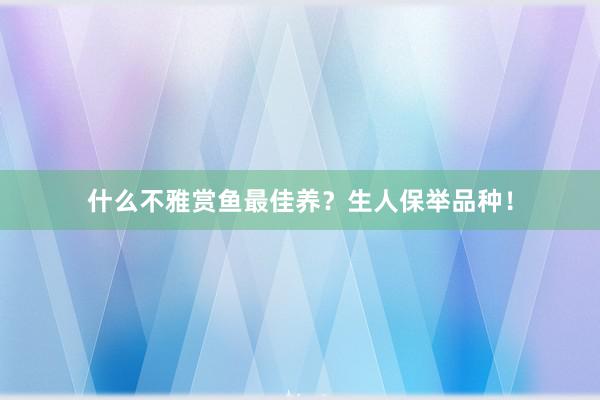 什么不雅赏鱼最佳养？生人保举品种！