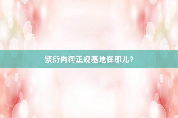繁衍肉狗正规基地在那儿？